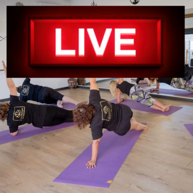 LIVE Cours Live